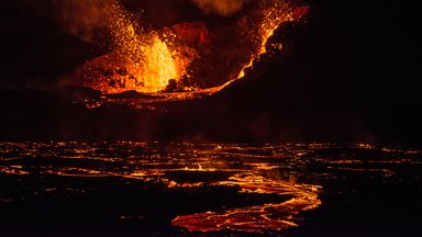 الصورة: maxmilliganphoto / Instagram